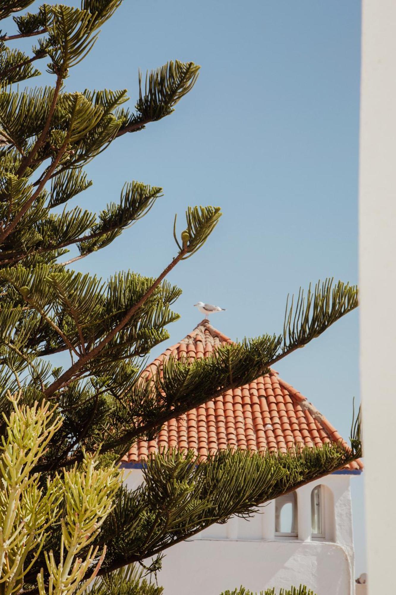 Villa Maroc Есувейра Екстериор снимка