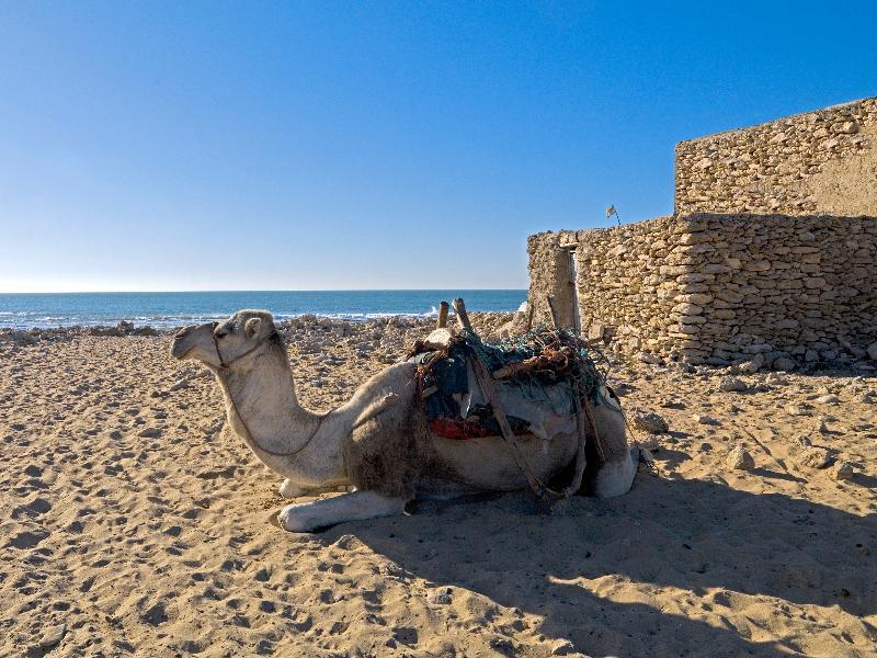 Villa Maroc Есувейра Екстериор снимка